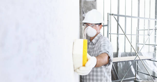 Best Mold Remediation for Healthcare Facilities  in Newellton, LA