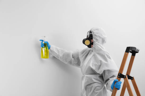 Best Mold Remediation for Healthcare Facilities  in Newellton, LA